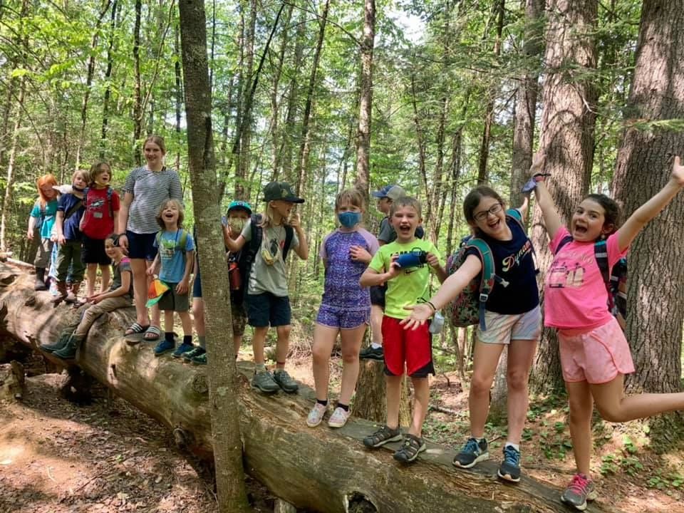 Children participating in an outdoor group adventure at Field, Farm & Forest