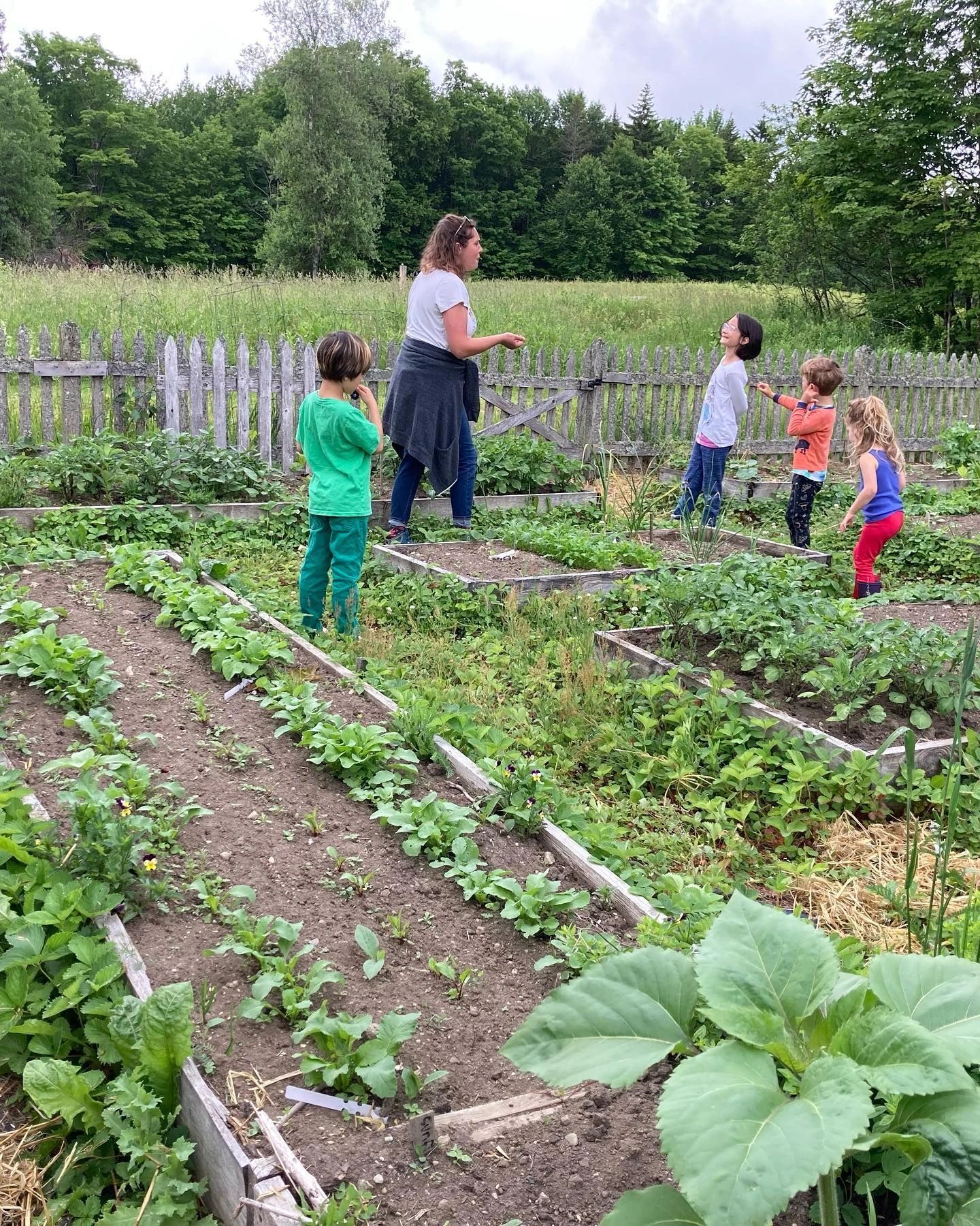 Children learning with an educator in a garden at Field, Farm & Forest