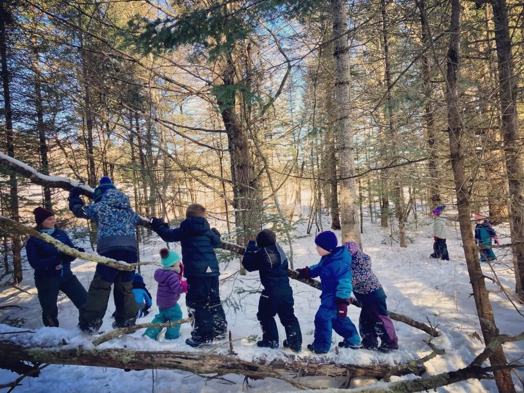 Kinglets Nature School children balancing and climbing on fallen trees in a snowy Vermont forest
