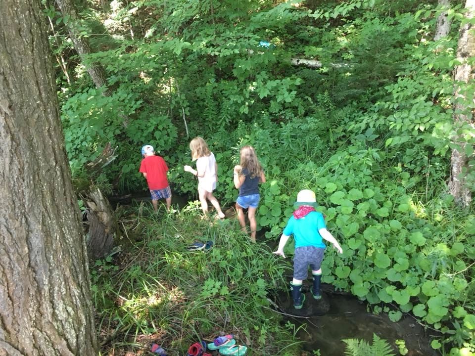 Children exploring a shaded forest stream during a Field, Farm & Forest summer camp in Vermont