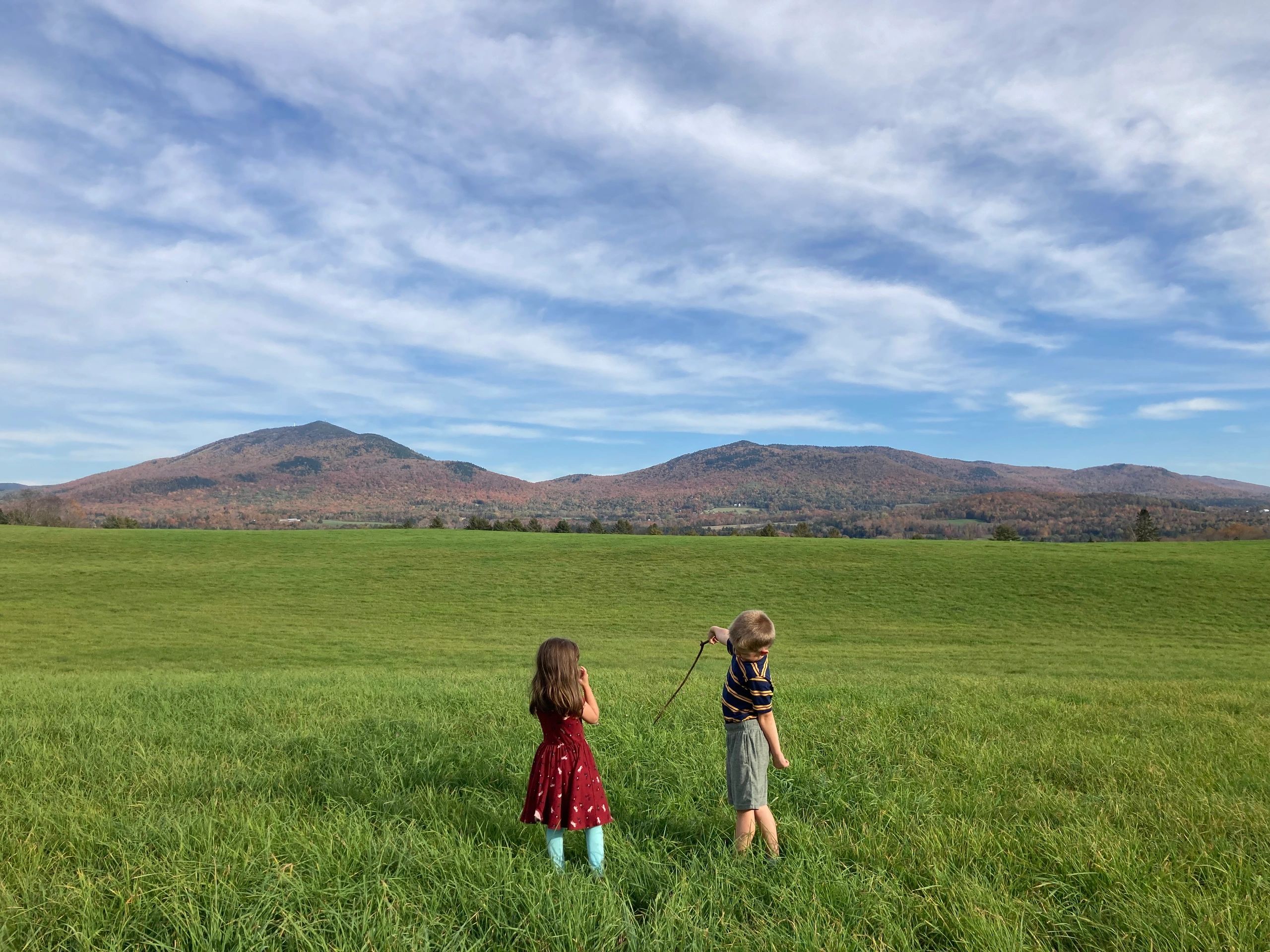 Children exploring and playing outdoors during a Field, Farm & Forest summer program