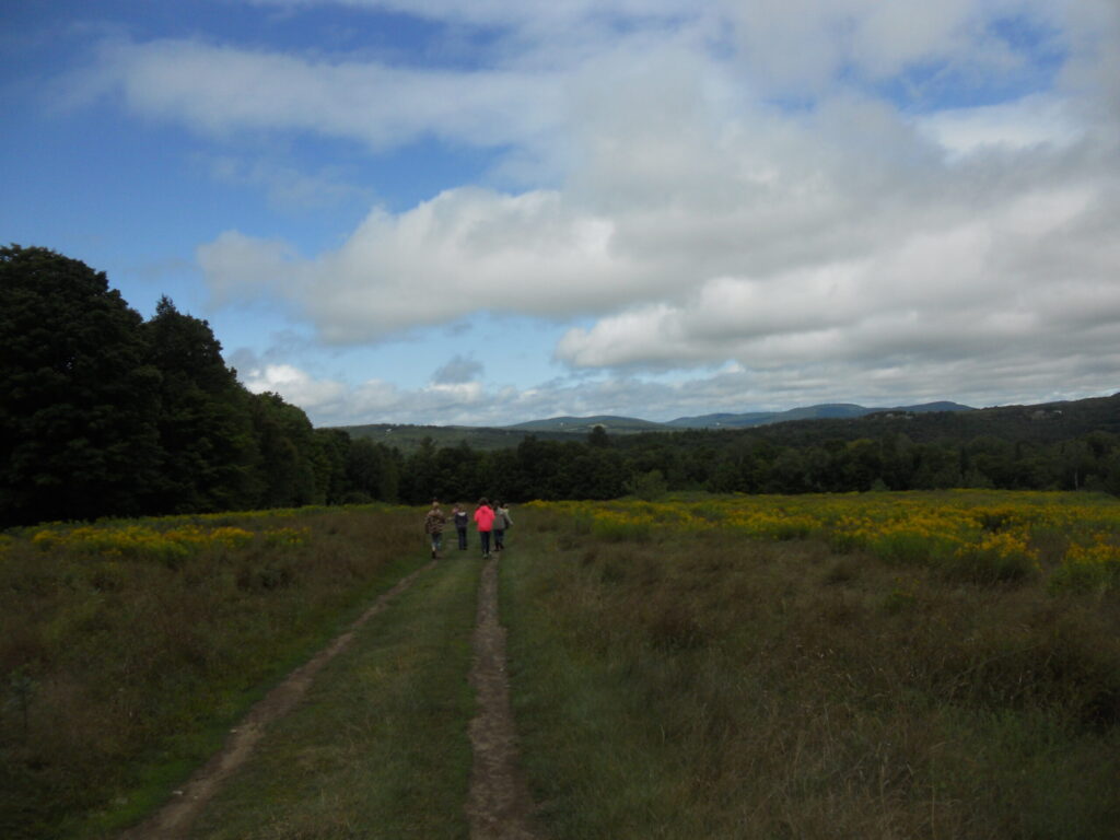Children in a Field, Farm & Forest homeschool program walking along a meadow trail in Vermont