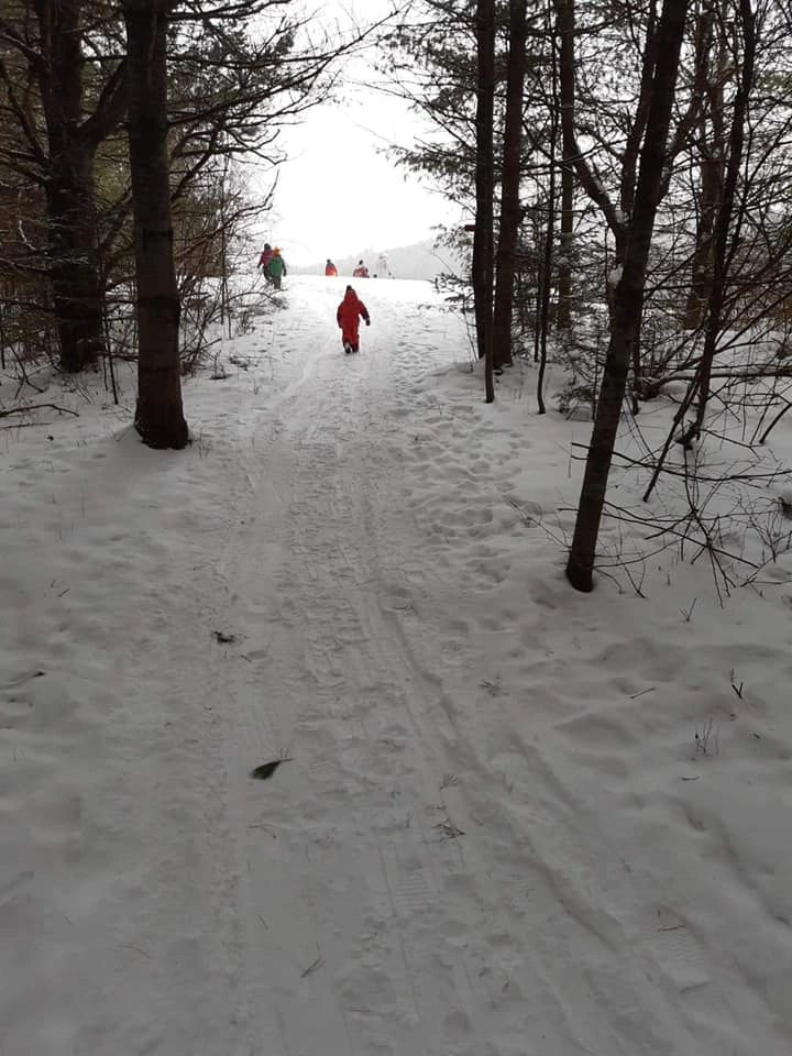 Children exploring a snow-covered woodland during a Field, Farm & Forest winter program