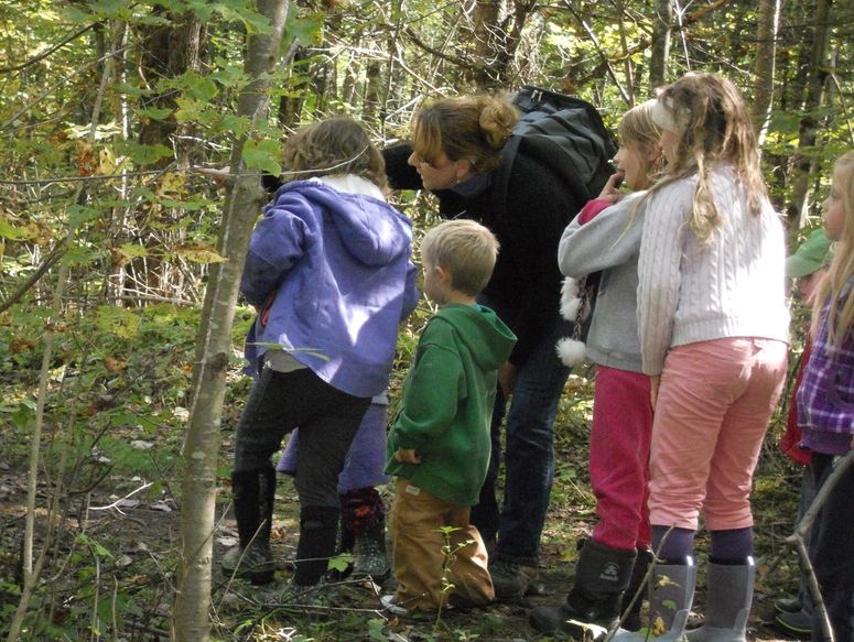 Mary Jo O'Neill exploring a forest with children